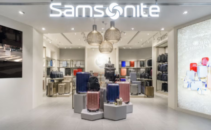 India poised to emerge as global leader in luggage industry in coming years: Samsonite